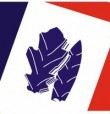 Всеволожская лига спортивного покера logo