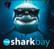 Sharkbay | Rozvadov, 11 - 18 AUG 2025 | €1.000.000 GTD